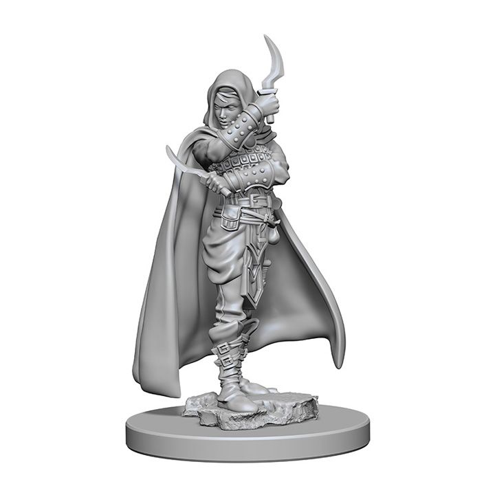Pathfinder Deep Cuts Unpainted Miniatures Human Female Rogue - Good Games