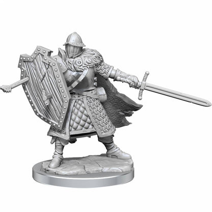 Dungeons & Dragons Frameworks Human Male Fighter - Good Games