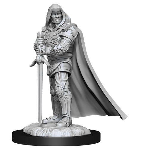 Dungeons & Dragons - Nolzurs Marvelous Unpainted Miniatures Human Male Paladin - Good Games