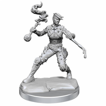 Dungeons & Dragons Frameworks Human Rogue Female - Good Games