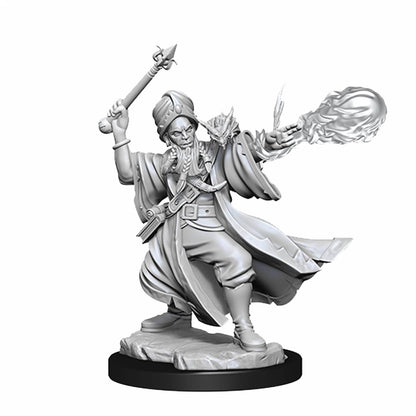 Dungeons & Dragons Frameworks Human Wizard Male - Good Games
