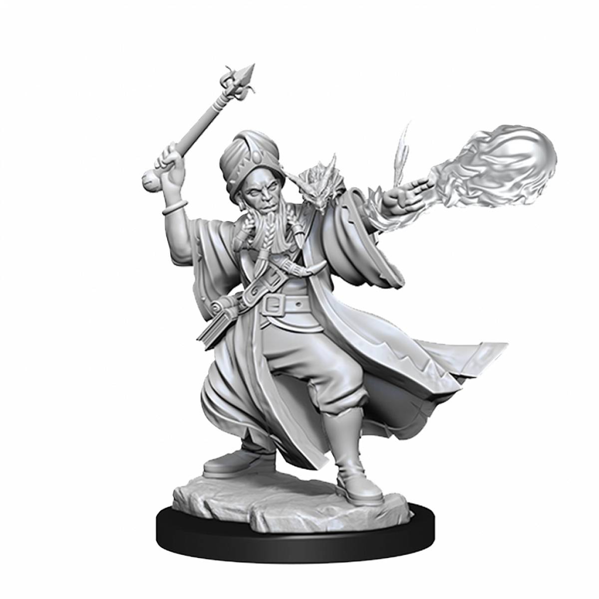 Dungeons &amp; Dragons Frameworks Human Wizard Male