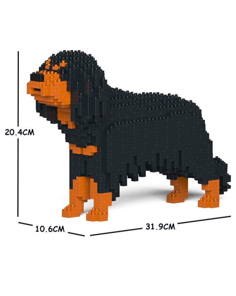 Jekca - Cavalier King Charles Spaniel 01S-M04 - Good Games