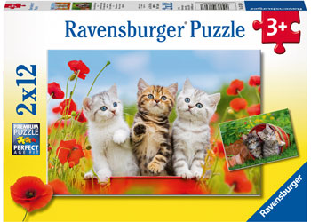 Ravensburger - Kitten Adventures - 2x12 Piece Jigsaw - Good Games