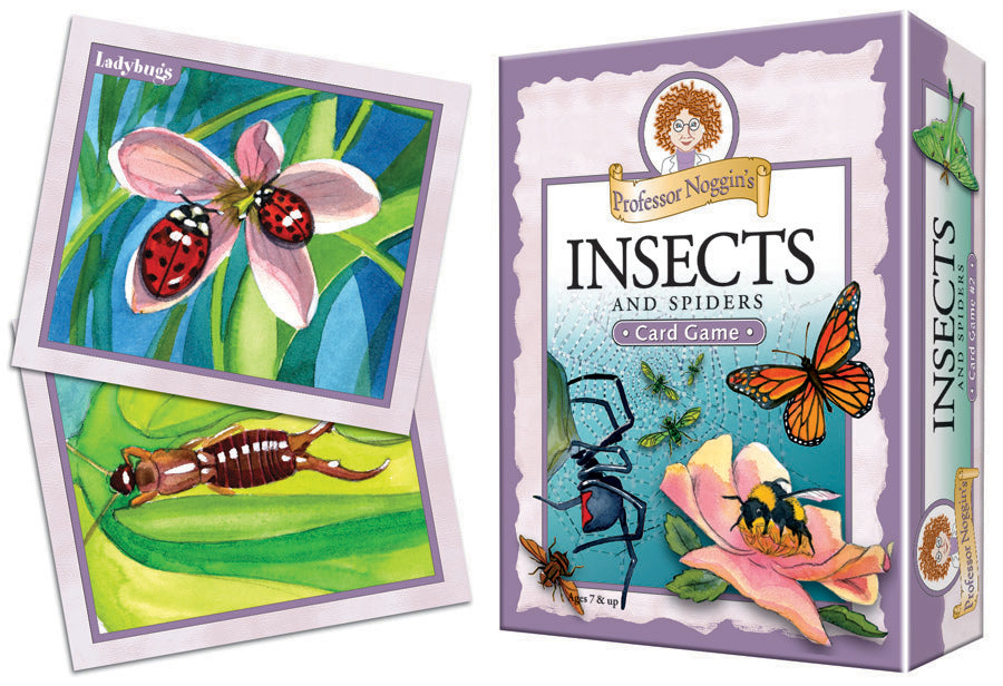 Professor Noggins Insects and Spiders