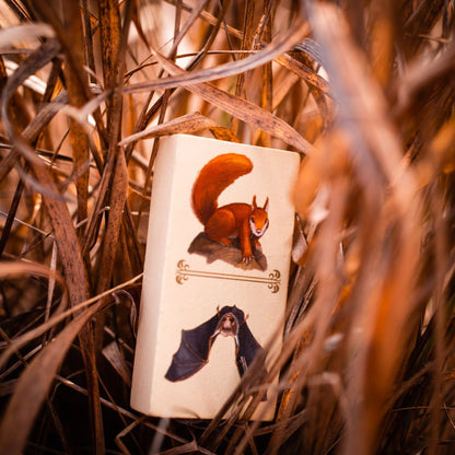 Renature - Good Games