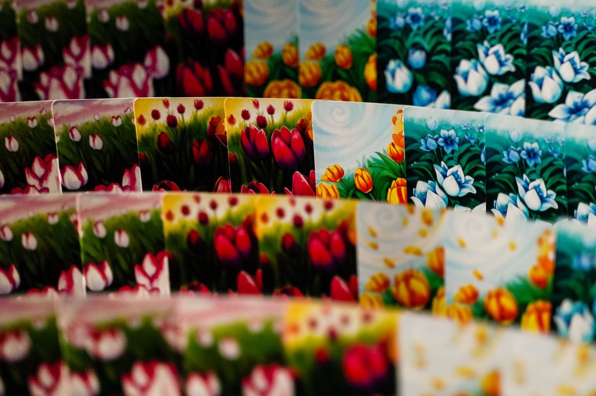 Gift of Tulips