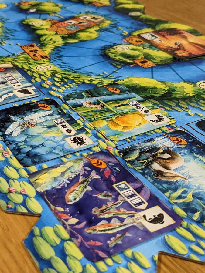 Meadow - Downstream Expansion