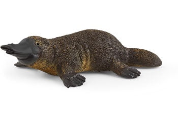 Schleich - Platypus - Good Games