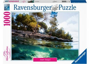 Ravensburger - Points of View - 1000 Piece Jigsaw - Good Games