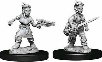 Pathfinder Deep Cuts Female Halfling Rogue
