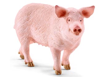 Schleich - Pig - Good Games