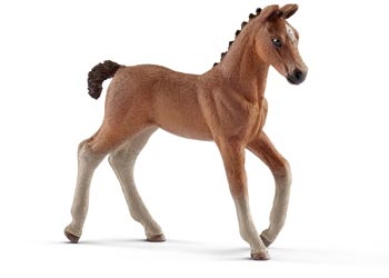 Schleich - Hanoverian Foal - Good Games