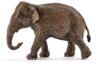 Schleich - Asian Elephant Female - Good Games