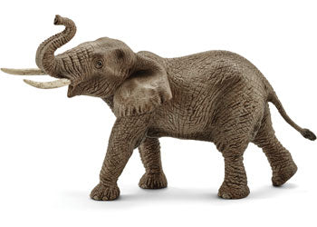 Schleich - African Elephant Male - Good Games