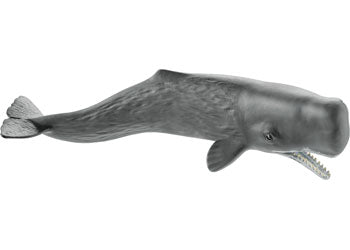 Schleich - Sperm Whale - Good Games