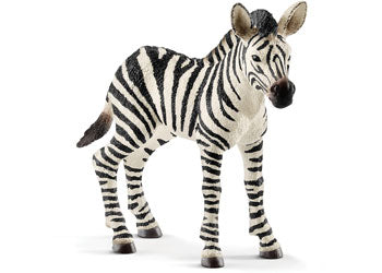 Schleich - Zebra Foal - Good Games