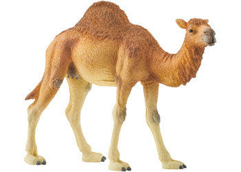 Schleich - Dromedary - Good Games
