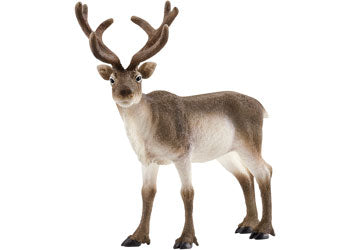 Schleich - Reindeer - Good Games