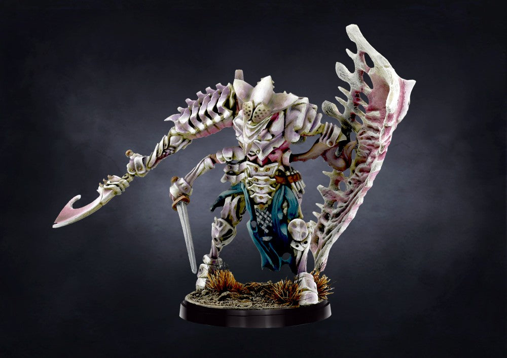 Conquest - Spires: Ward Preceptor (Command Upgrade TLAOK or Officer in FB) - Good Games