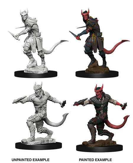 Dungeons &amp; Dragons - Nolzurs Marvelous Unpainted Miniatures Tiefling Male Rogue