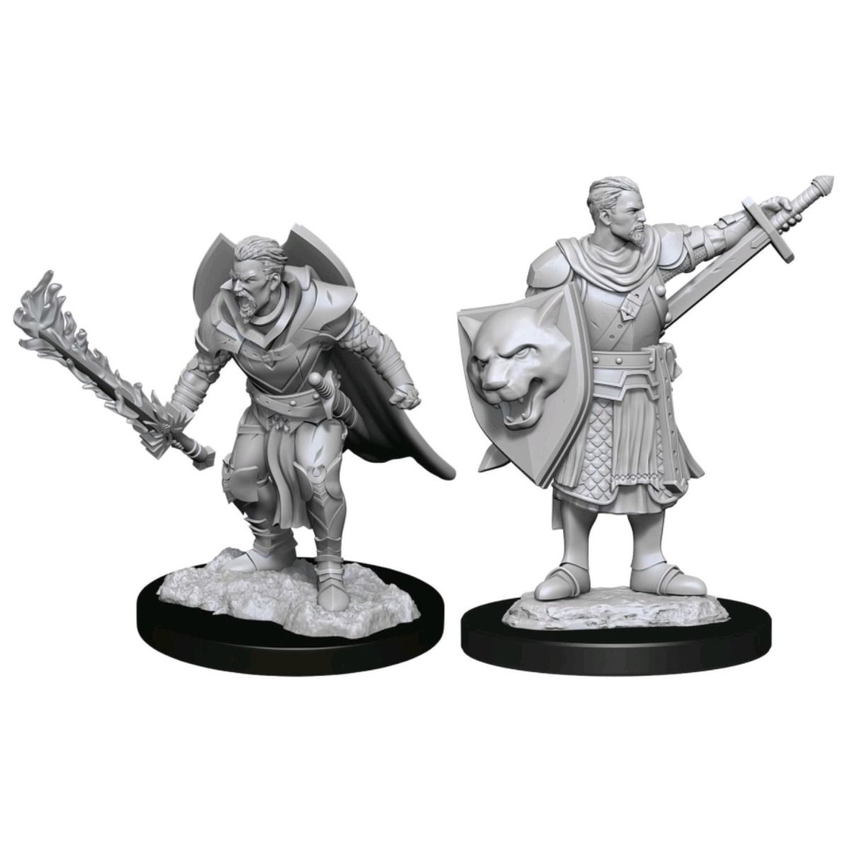 Pathfinder Deepcuts Unpainted Miniatures Human Champion Male - Good Games