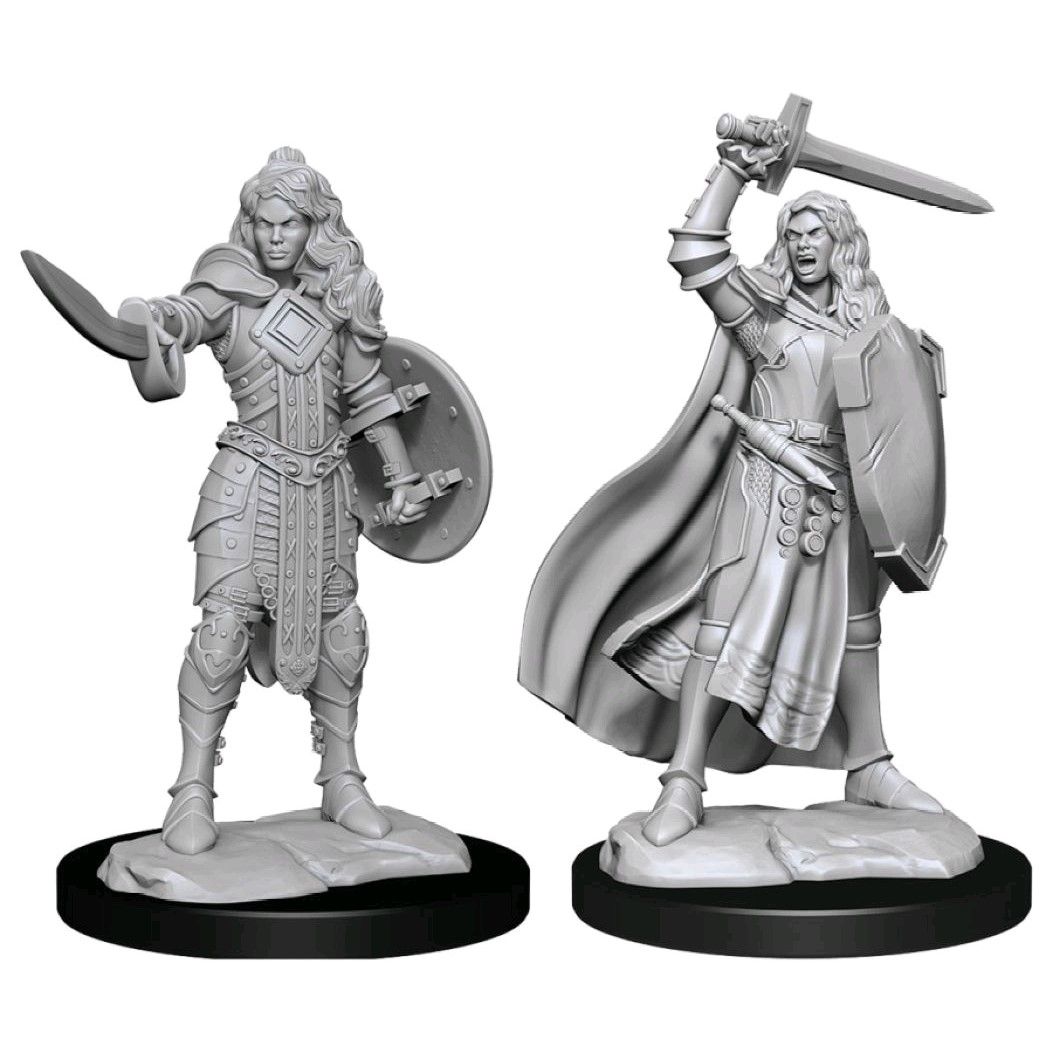 Pathfinder Deepcuts Unpainted Miniatures Human Champion Female - Good Games
