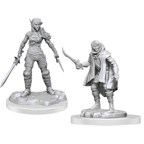Dungeons &amp; Dragons - Nolzurs Marvelous Miniatures Elf Rogue &amp; Half-Elf Rogue Protege