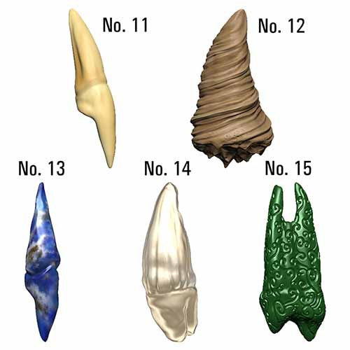 Dungeons &amp; Dragons Teeth of Dahlver-Nar Bite-Sized Artifact